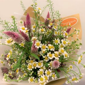 Daisy in memory