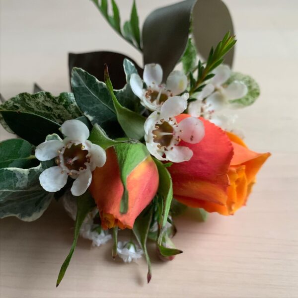 Perfect Accompany - Image 3